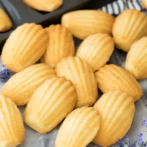 Madeleines